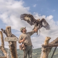 The Setteventi Falconers