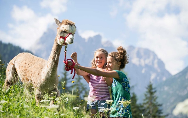 Family Resort Rainer