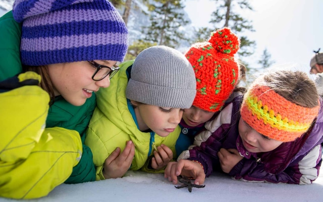 Family Resort Rainer