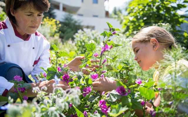 Family Resort Rainer
