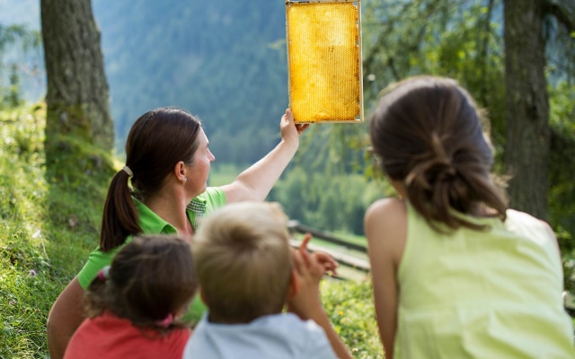 Family Resort Rainer