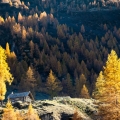 Frazioni Walser