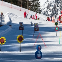 Hotel Alpin