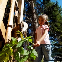 MiraMonti Family & Spa