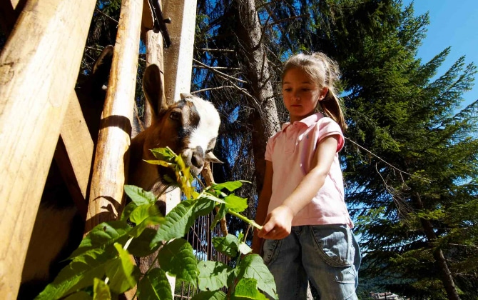 MiraMonti Family & Spa