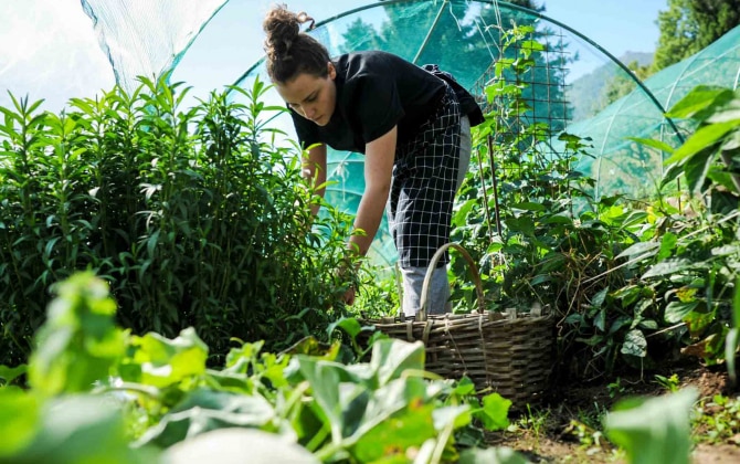 MiraMonti Family & Spa