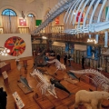 Museo Oceanografico di Montecarlo