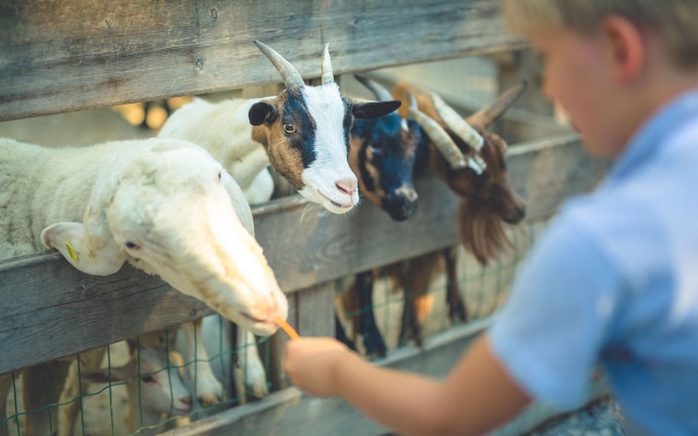 Piz Galin Grand Hotel