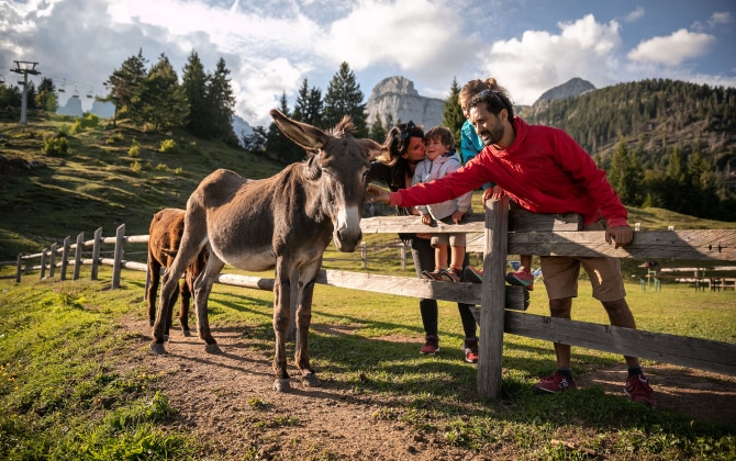 Piz Galin Grand Hotel