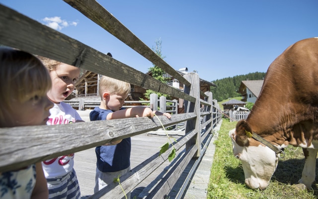 Post Alpina Family Mountain Chalet