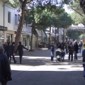 Viale Ceccarini