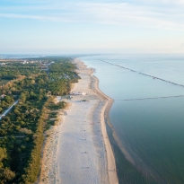 Le pinete che si affacciano sul mare a Marina di Ravenna e Marina Romea