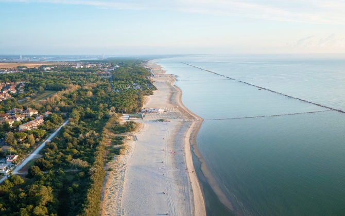 Le pinete che si affacciano sul mare a Marina di Ravenna e Marina Romea