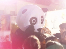 Panda