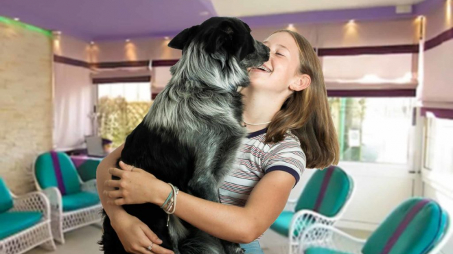 EASY DOG: IN VACANZA CON IL CANE