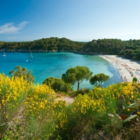 Veduta della spiaggia di Fetovaia nell'isola d'Elba