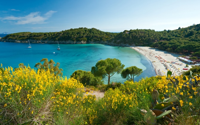 Veduta della spiaggia di Fetovaia nell'isola d'Elba
