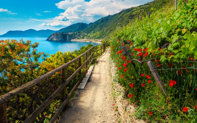 Pittoresco sentiero sulla costa delle Cinque Terre vicino a Manarola