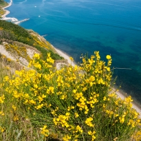 Veduta dall'alto del Monte San Bartolo