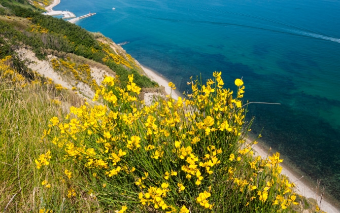 Veduta dall'alto del Monte San Bartolo