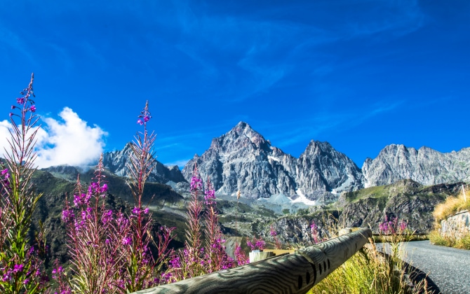 Cima del Monviso all'interno del Parco Naturale del Monviso