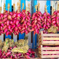 Cipolla rossa dolce di Tropea in esposizione per la vendita nel mercato locale