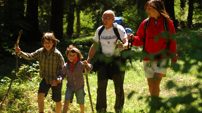 Sport for Family