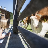 Post Alpina Family Mountain Chalet