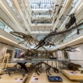 MUSE- Museo delle Scienze