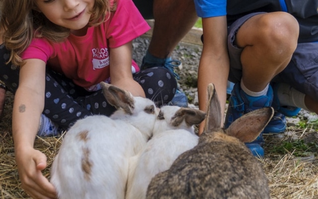 Astoria Comfort Hotel