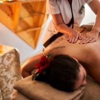 Hotel Andes Family & Wellness