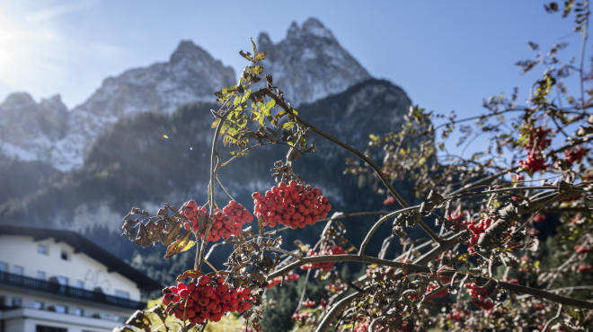 Autunno