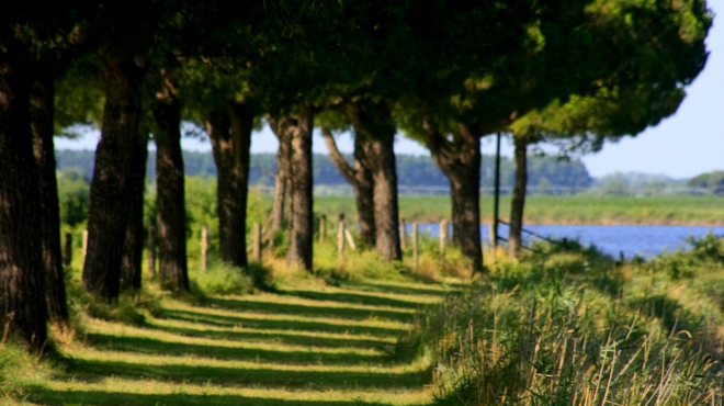 Pasqua nel Parco del Delta