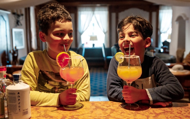 Family & Wellness Hotel Belvedere