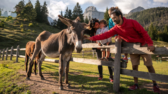 Weekend nel foliage in All Inclusive Alpino