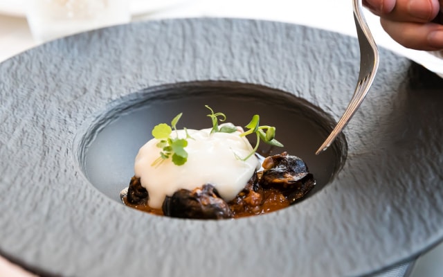 NH Collection Alagna Mirtillo Rosso