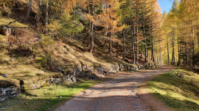 SPECIALE OTTOBRE: autunno dorato