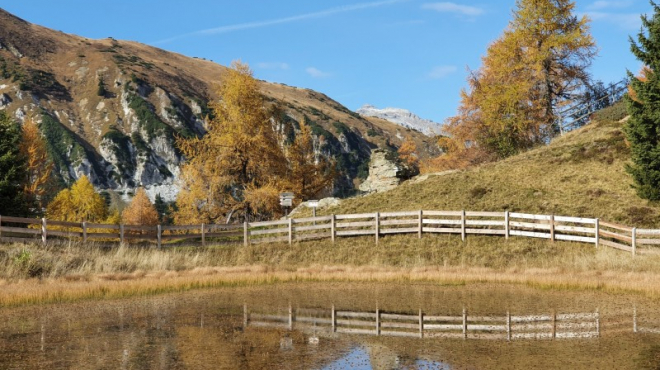SPECIALE FINE SETTEMBRE: autunno dorato