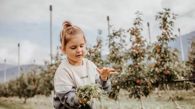 Midweek-Special -20% sparen