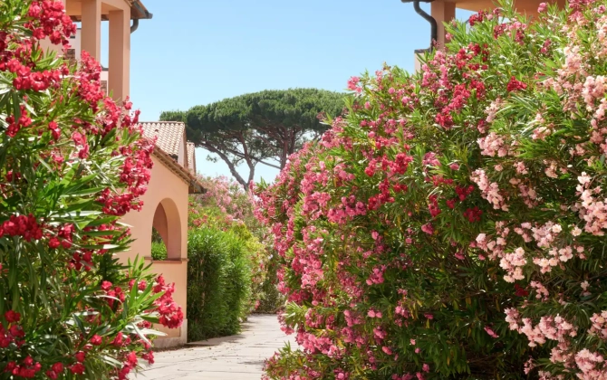 Garden Toscana Resort