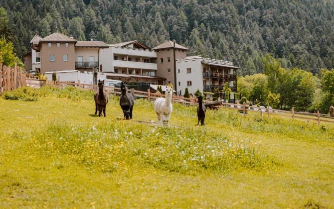 Family Hotel Bergschlössl