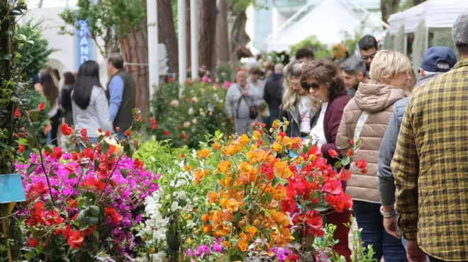 Offerta Ponte 1 Maggio a Cattolica: Festa dei Fiori
