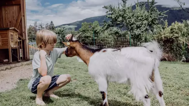 Magia di primavera piena di gioia familiare