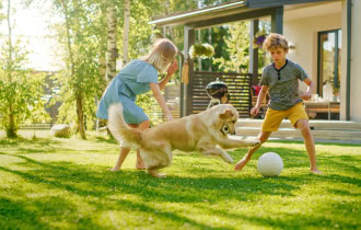 Pet friendly