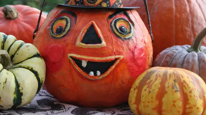 Copia di Halloween 5=4
