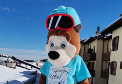 Chicco the bear