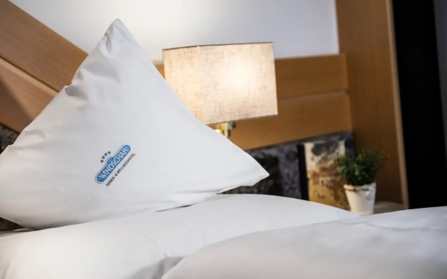 Economy „Aurinum“