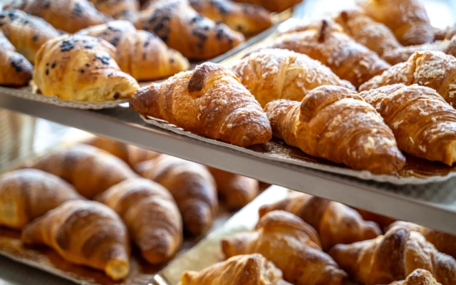 Palace Magnolia Family Hotel & Spa