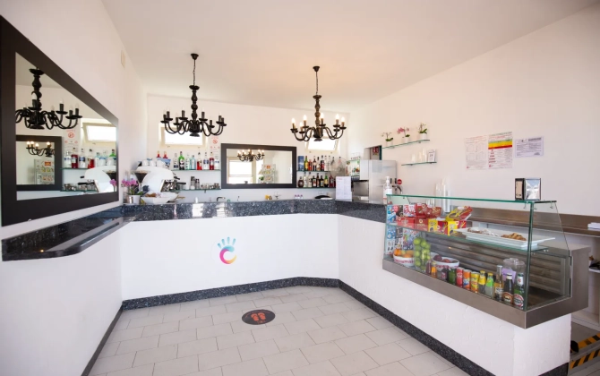 Color Miami Beach Family Hotel