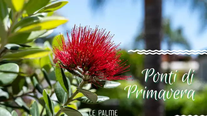 Ponti di Primavera sconto del 20%